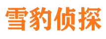 大化侦探调查公司